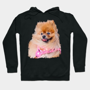 poodle dog lover shirt Hoodie